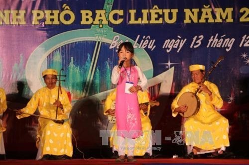 В провинции Лонган открылся фестиваль южновьетнамского вокального жанра «дон-ка-тай-ты» - ảnh 1